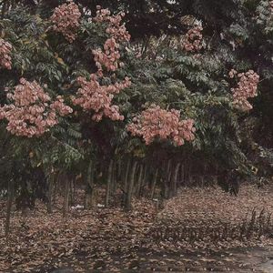 祼体美女吸乳❌❌羞羞
